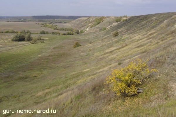 Начало Чембарской кручи Начало Чембарской кручи