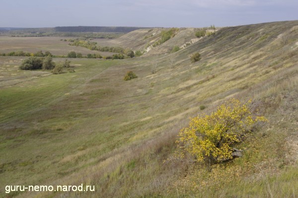 Начало Чембарской кручи